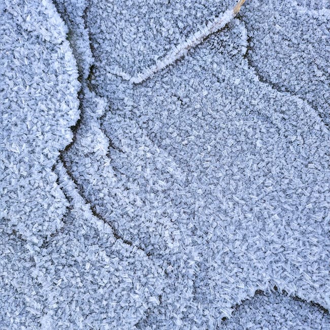 Wool rug pattern
